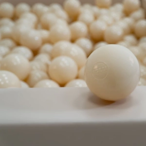 Pallimeri